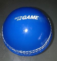 branded cricket ball